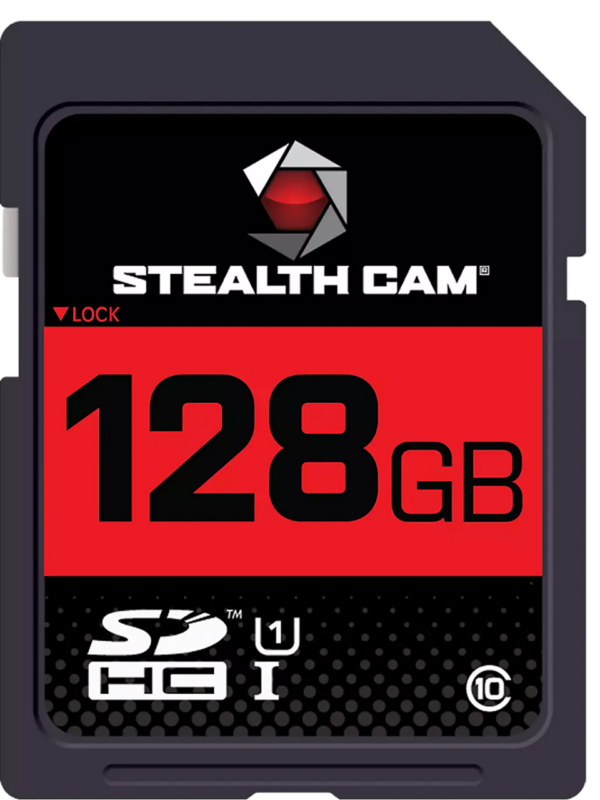 Steal 128GB SD Card