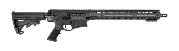 AR-10 308 Winchester